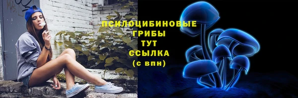 прущий лед Богородск
