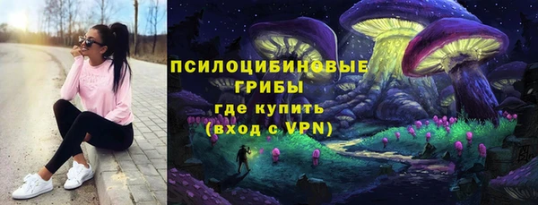 прущий лед Богородск